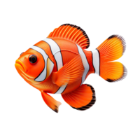 nemo sea fish isolated on transparent background png