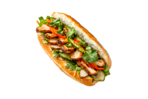 Vietnamese banh mi sandwich with pork and jalapenos isolated on a transparent background png