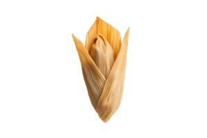 Tamale wrapped in corn husk isolated on a transparent background png