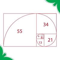 Golden section, fibonacci numbers, ideal proportions ratio. Geometry harmony gold fibonacci spiral ratio, Spiral proportion elements vector