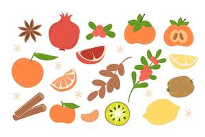 Set of winter fruits with spices vector