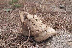VALENCIA, SPAIN OCTOBER 31, 2024. Abandoned muddy shoe resting on dry pine needles and dirt, representing the aftermath of a flood in Valencia photo