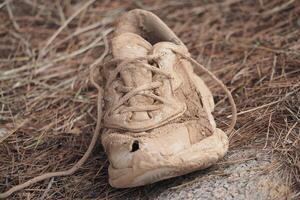 VALENCIA, SPAIN OCTOBER 31, 2024. Abandoned muddy shoe lying on dry pine needles, symbolizing the devastating impact of flooding in Valencia photo