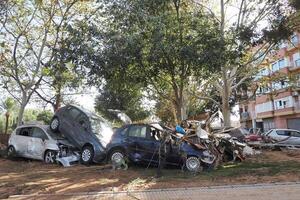VALENCIA, SPAIN OCTOBER 31, 2024. Cars and debris piled up against trees after severe flooding in Valencia, Spain, highlighting the devastating impact of natural disasters photo
