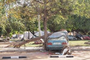 VALENCIA, SPAIN OCTOBER 31, 2024. Aftermath of a flood showing a fallen tree crushing a car in Valencia, Spain, highlighting the devastating impact of natural disasters photo
