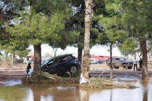 VALENCIA, SPAIN OCTOBER 31, 2024. Aftermath of a flood showing a damaged car leaning against a tree in Valencia photo