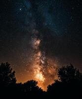 The milky way over the trees at night photo