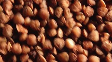 Dry Uncooked Brown Buckwheat Groats, Rotating Counter-Clockwise - Top View, Close-Up, Macro, Low Key Light. Raw Large Buckwheat Grains. Russian, Ukrainian and Belarusian Culture. Rotation Left video