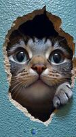 Peeking through a crack in a teal wall is an inquisitive gray cat with big bright blue eyes photo