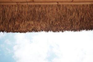 Vintage dry thatched roof eaves and palm leaves of house and pavilion with cloud and sky photo