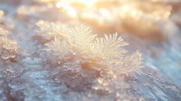 Frosty snowflakes on the ground photo