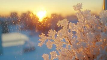A frosty view of the sun shining through a window photo