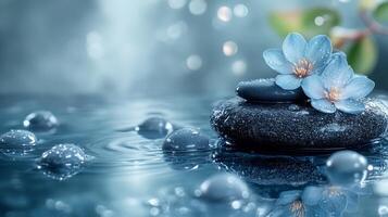Blue flowers on a stone in water with drops of water photo