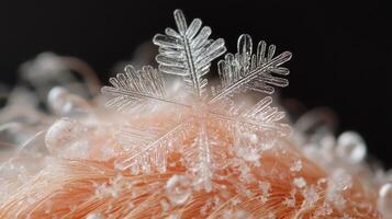 A snowflake is on top of a pink hat photo