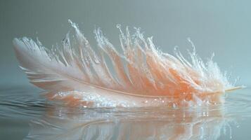 A pink feather floating in water with water droplets photo