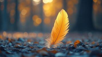 A feather is sitting on the ground in the woods photo