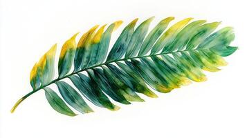 A watercolor painting of a palm leaf photo