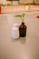 Table decor with a small plant in a tiny bottle and a mini salt shaker on a hotel restaurant table photo