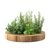 Wooden Podium with Fresh Herbs for Culinary Presentation on transparent background png