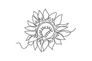 Single continuous line drawing sunflower seen close up. Details and patterns are visible. Flower symbol of loyalty. Flower spiritual guidance. Kansas Day. One line graphic design illustration vector