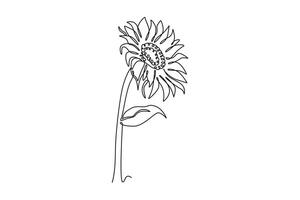 Single one line drawing a stalk of sunflower. Growing strong, fresh and giving joy from its color. The leaves are useful as wound healer. Kansas Day. Continuous line design graphic illustration vector