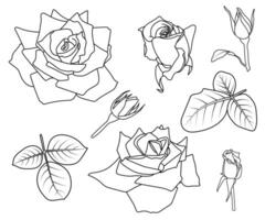 Roses contour set. Pointed petals. Simple floral shapes collection. Half-opened, half-blossomed, fully open, button, leaves. Black line contour, isolated shape. Coloring book page, line art, Valentine vector