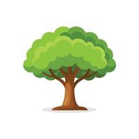 Walnut tree isolated flat illustration on white background. vector