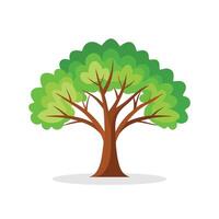 Serviceberry Locust tree isolated flat illustration on white background vector