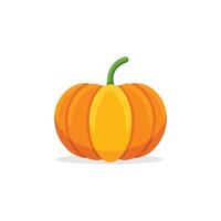 Pumpkin isolated flat illustration on white background vector