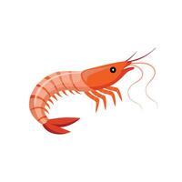 Amano Shrimp fish isolated flat illustration on white background. vector