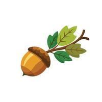 acorn branch isolated flat illustration on white background vector