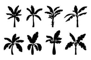 Banana tree set silhouettes isolated flat illustration on white background vector