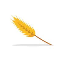 Wheat isolated flat illustration on white background vector