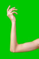Woman's Hand Holding an Invisible Object Against a Green Screen photo