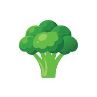 Fresh broccoli vegetable nature isolated flat illustration on white background vector