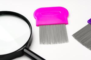 A magnifying glass and lice comb placed side by side on a clean white background photo