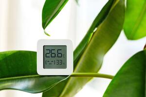 White Digital Thermometer Attached to a Plant Stem Showing a Temperature of 22 Degrees Celsius and a Humidity of 39 Percent photo