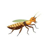 Termite Mantis animal isolated flat illustration on white background. vector