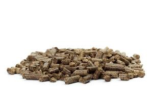 stack of wooden pellets for bio energy, white background, isolated photo