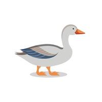 Goose animal isolated flat illustration on white background vector