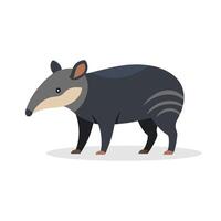 Tapir animal isolated flat illustration on white background vector