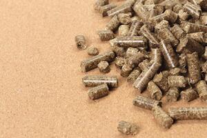 Resource. Pellets on the table photo
