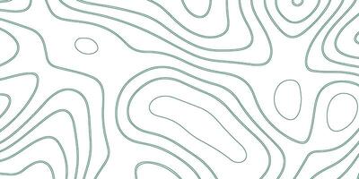 Topographic pattern texture. Geographic topography illustration. Abstract blank detailed topographic contour map. Background of the topographic map. Line topography map contour background vector
