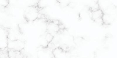 Abstract white marble texture background vector