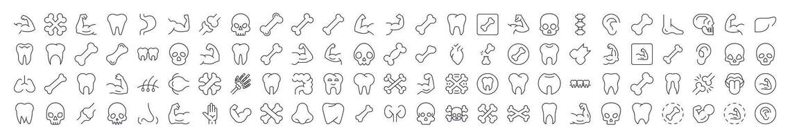 Internal Organs, Teeth and Bones Simple Isolated Line Icons Collection. Editable Stroke. Suitable for Web Sites, Books, Cards, Apps vector