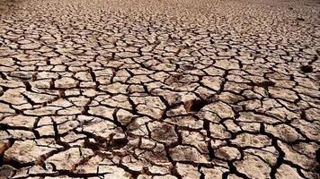 A dry field with cracked earth and grass video