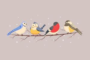 Set of cute birds on a branch. Winter illustration vector