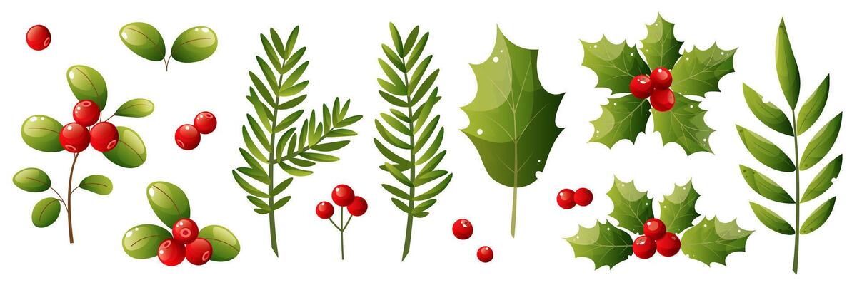 set of Christmas plants, elements. Green leaves, fir branches, red berries, holly, lingonberry, holly. New Year tree leaves, winter branches. Merry Christmas and Happy New Year design template.
