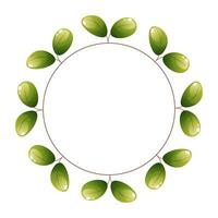 round wreath with green leaves on white background. Laurel wreath. Circle frame for wedding invitation. illustration. Floral composition. Greeting card design template vector