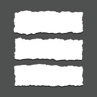 Set of white torn ripper paper sheet textures vector